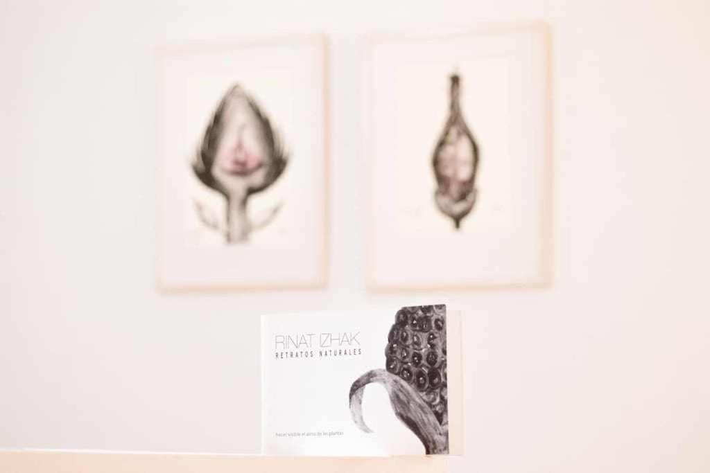 Monkeys Apartments La Artista Sevilla Eksteriør billede